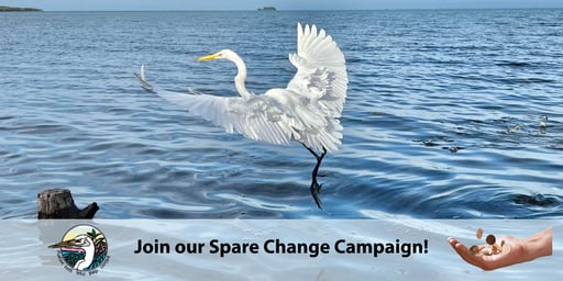 Spare Change to Keep Them Flying!