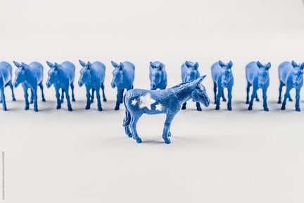 Support the Democratic Party of Saline County!