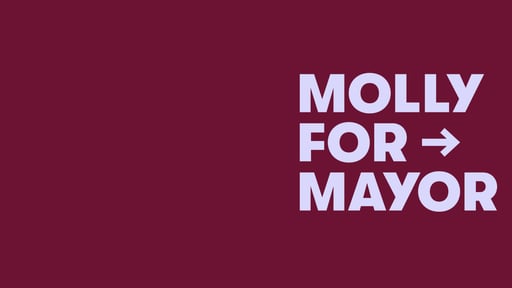 Molly For Fayetteville 