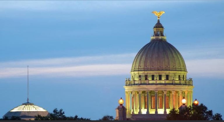 Mississippi Democratic Party 