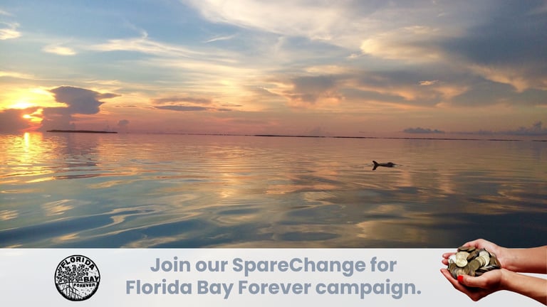 SpareChange for Florida Bay